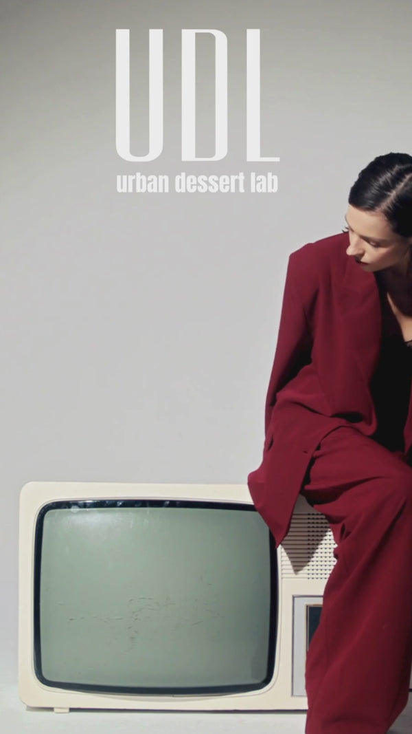 A model in a burgundy outfit sits beside a vintage television displaying Urban Dessert Lab Cookies. The text "UDL urban dessert lab" is displayed above.